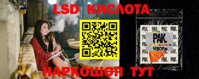 индика Боровичи