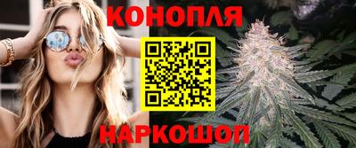 стафф Брянск