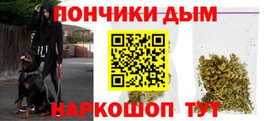 индика Боровичи
