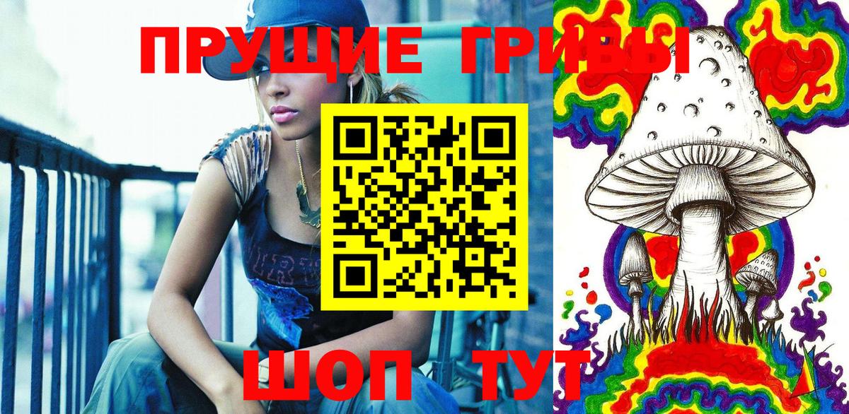 Псилоцибиновые грибы MAGIC MUSHROOMS  Вход с VPN  Ростов Великий 